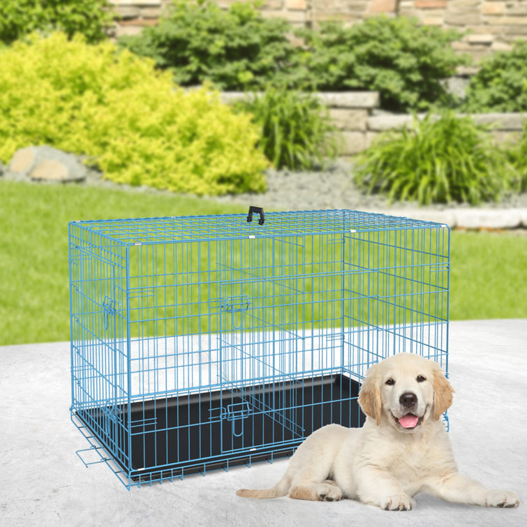 30 inch kennel shop